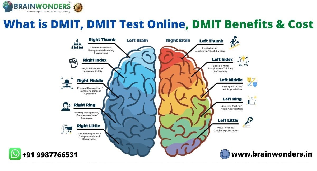 DMIT Test and Mid Brain Activations, By Team 360 Nepal