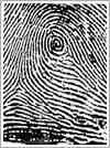 dmit fingerprint